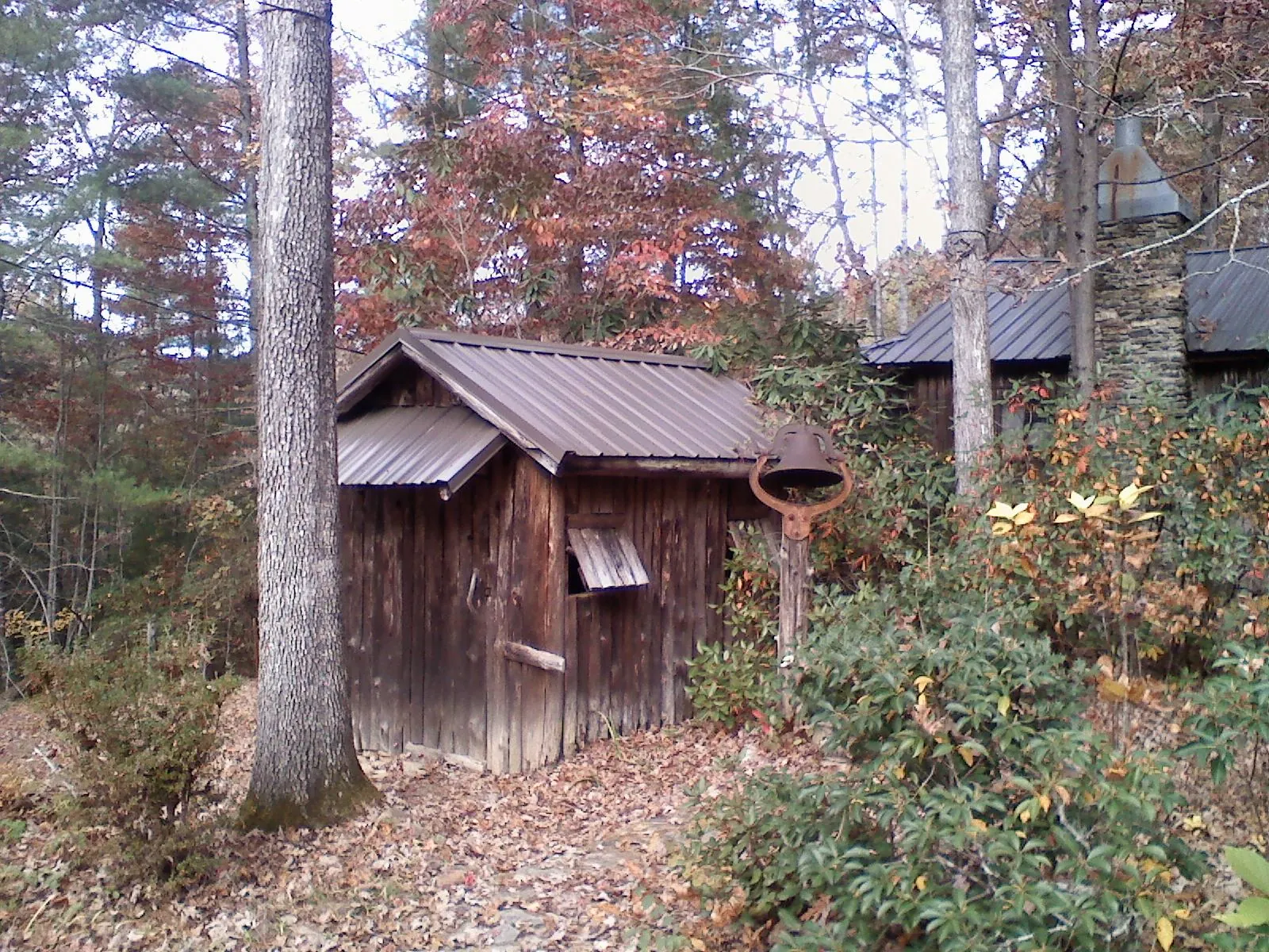 Small metal roof on a rough sawn shed in the woods in Ashaway